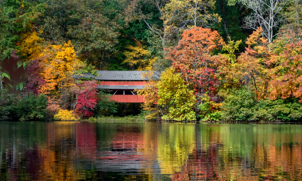 Fall Fiscal Officer Trainings